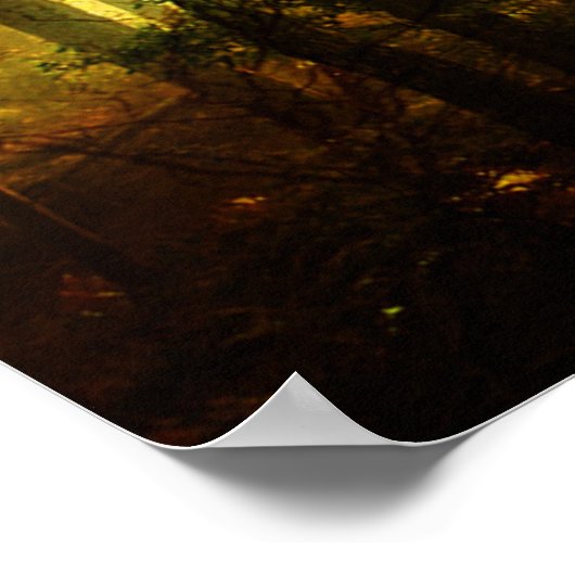 Poster Oiseau du soleil (Coin)