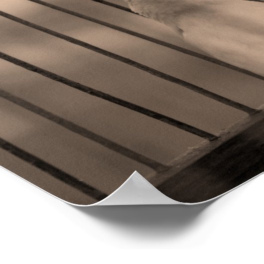 Poster Oiseau en cage (Coin)