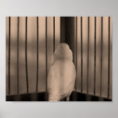 Poster Oiseau en cage (Devant)