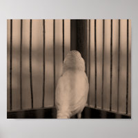 Oiseau en cage