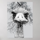 Poster Oiseau en colère (Devant)