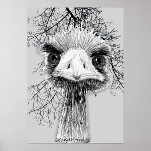 Poster Oiseau en colère (Devant)