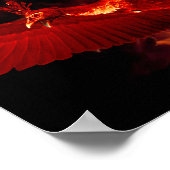 Poster Oiseau en feu (Coin)