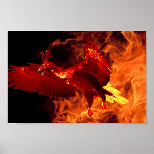 Poster Oiseau en feu (Devant)