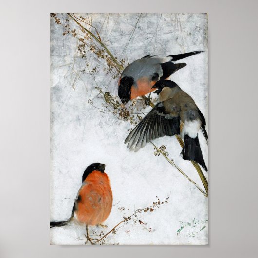 Poster Oiseau en Neige, Bruno Liljefors (Devant)
