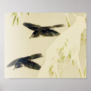 Poster Oiseau en scène de neige, Watanabe Seitei