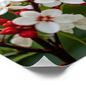 Poster Oiseau Enchanteur des Fleurs (Coin)