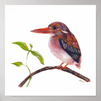 Poster Oiseau endémique du martin-pêcheur nain des Philip