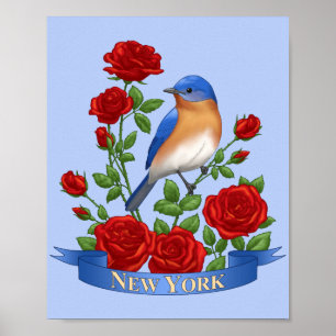 Poster Oiseau et fleur de l'État de New York