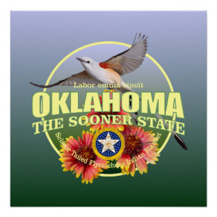 Poster Oiseau et fleur d'état de l'Oklahoma