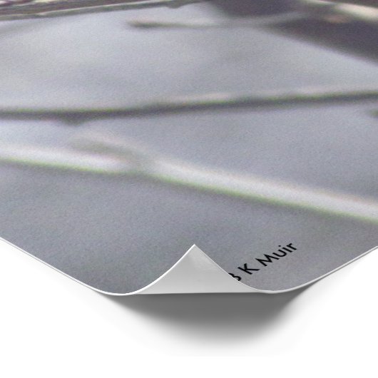 Poster - Oiseau jaune dans les branches (Coin)