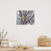 Poster - Oiseau jaune dans les branches (Cuisine)