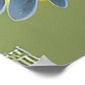 Poster Oiseau jaune vibrant sur une branche (Coin)