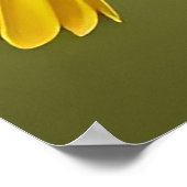 Poster Oiseau jaune vibrant sur une branche (Coin)