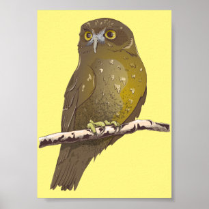 Poster Oiseau Morepork RURU NZ