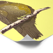 Poster Oiseau Morepork RURU NZ (Coin)