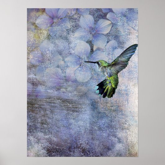 Poster oiseau-mouche (Devant)