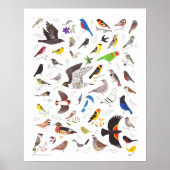 Poster Oiseau Nerd Imprimer (Devant)