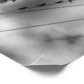 Poster Oiseau noir (Coin)