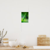 Poster Oiseau noir (Cuisine)