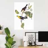 Poster Oiseau-noir à tête jaune (Bureau à domicile)
