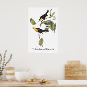 Poster Oiseau-noir à tête jaune - John Audubon (Cuisine)