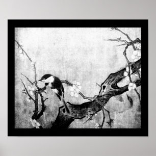 Poster OISEAU PRINTANIER ET ARBRE FLEURI Noir Blanc Gris