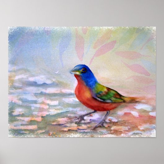 Poster Oiseau printanier exceptionnel et coloré (Devant)