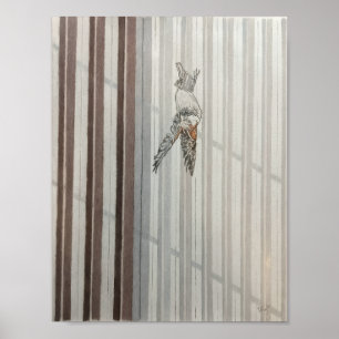 Poster Oiseau qui Tombe