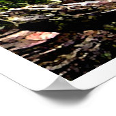 POSTER OISEAU ROUGE (Coin)