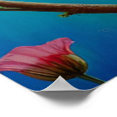 Poster Oiseau rouge et fleurs (Coin)