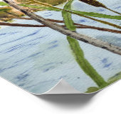 Poster Oiseau roux (Coin)