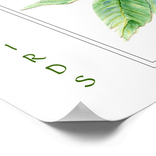 Poster Oiseau roux - Collection d'oiseaux (Coin)