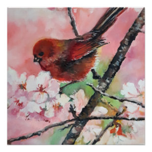 Poster Oiseau roux en fleurs de cerisiers