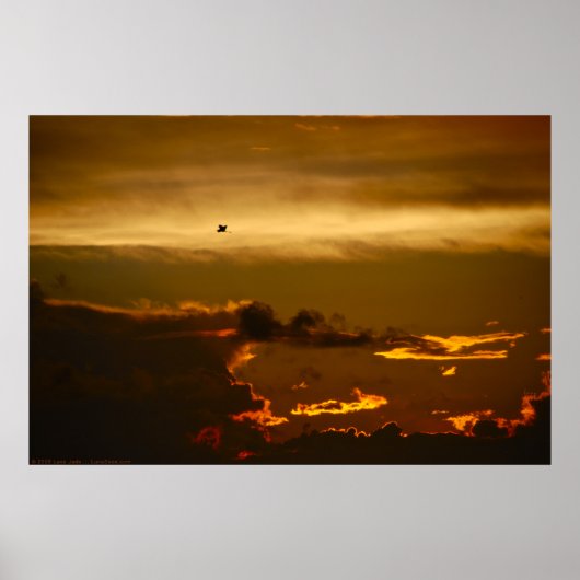 Poster Oiseau solitaire dans un ciel de feu (Poster) (Devant)