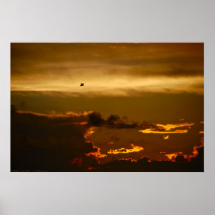 Poster Oiseau solitaire dans un ciel de Firey (affiche)