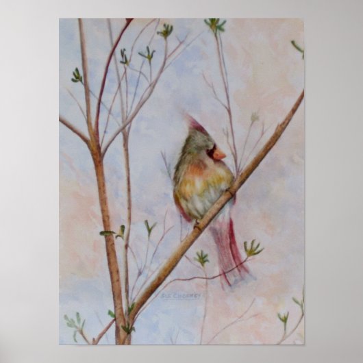 Poster Oiseau solitaire sur une branche d'arbre (Devant)