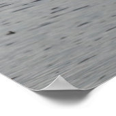 Poster Oiseau spatule (Coin)