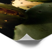 Poster Oiseau Sur Cactus (Coin)