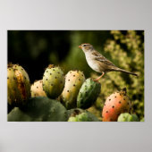 Poster Oiseau Sur Cactus (Devant)