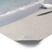 Poster Oiseau sur la plage (Coin)