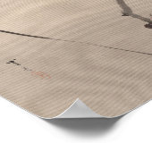 Poster Oiseau sur l'araignée d'observation des branches | (Coin)