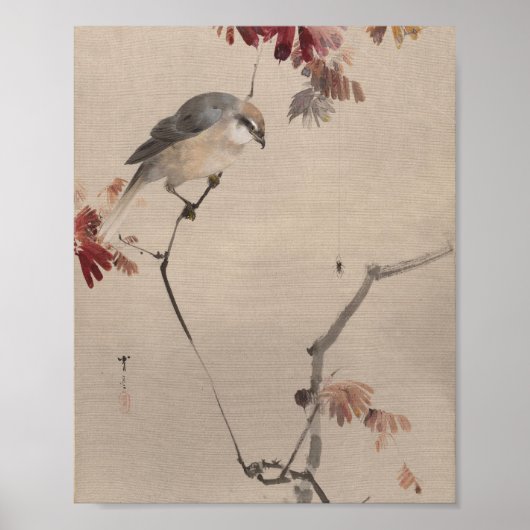 Poster Oiseau sur l'araignée d'observation des branches | (Devant)