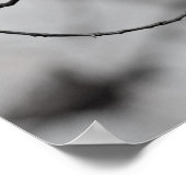 Poster Oiseau sur une branche (Coin)