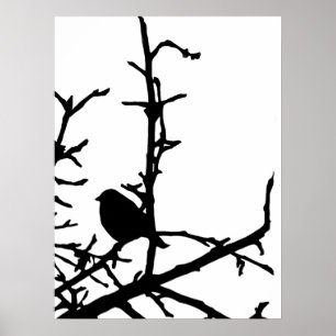 Poster Oiseau sur une branche