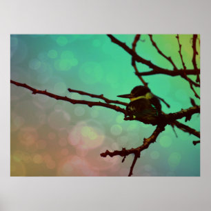 Poster Oiseau Sur Une Branche -Aqua N Rose