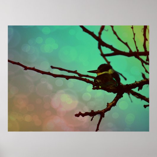 Poster Oiseau Sur Une Branche -Aqua N Rose (Devant)