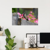 Poster Oiseau sur une clôture (Bureau à domicile)