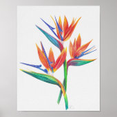 Poster Oiseau Tropical De Dessin Paradisiaque (Devant)