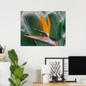 Poster Oiseau tropical hawaïen d'affiche de paradis (Bureau à domicile)